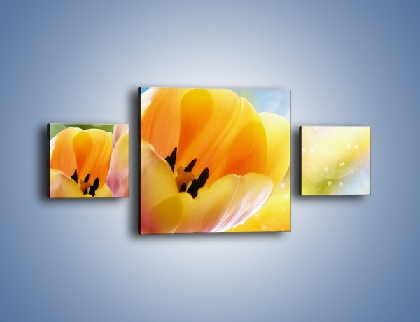 Obraz na płótnie – Tulipan jak sen – trzyczęściowy K776W4