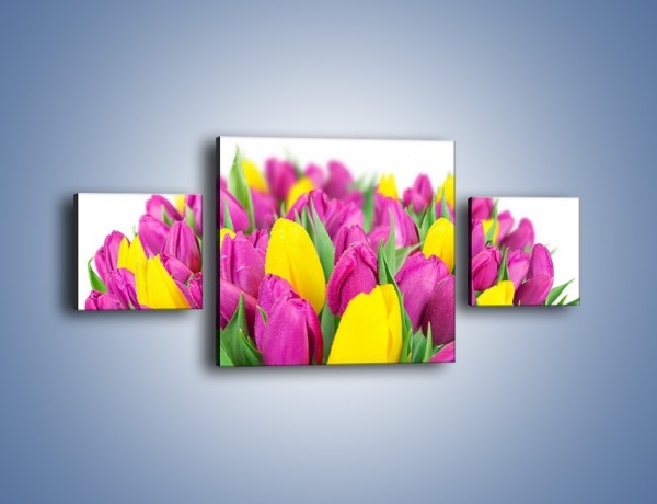 Obraz na płótnie – Bukiet fioletowo-żółtych tulipanów – trzyczęściowy K778W4