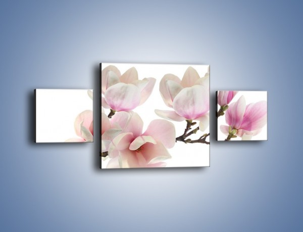 Obraz na płótnie – Zerwana gałązka magnolii – trzyczęściowy K780W4