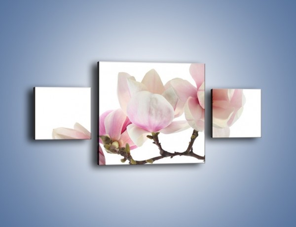 Obraz na płótnie – Obcięte gałązki białych różowych kwiatów – trzyczęściowy K783W4