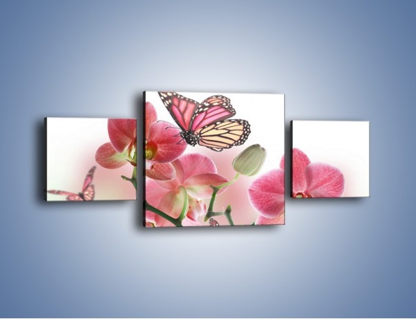 Obraz na płótnie – Różowy motyl czy kwiat – trzyczęściowy K786W4