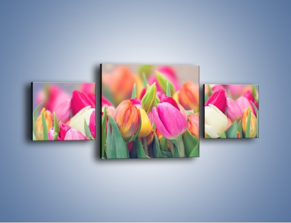 Obraz na płótnie – Tulipany i baśniowy widok – trzyczęściowy K793W4