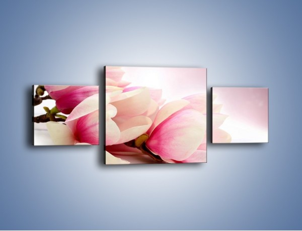 Obraz na płótnie – Gałąź magnolii na obłoku – trzyczęściowy K817W4