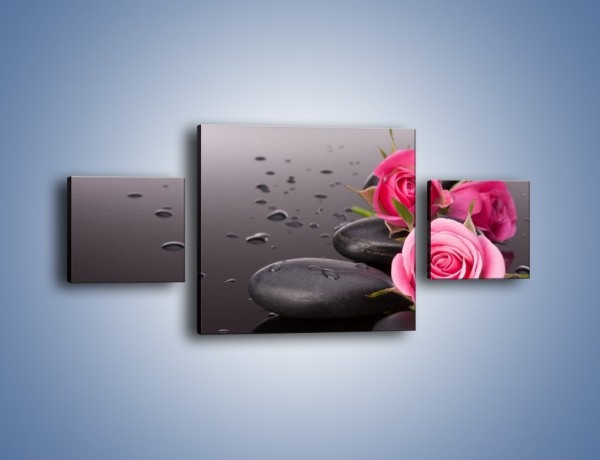 Obraz na płótnie – Róże na mokrych kamieniach – trzyczęściowy K822W4