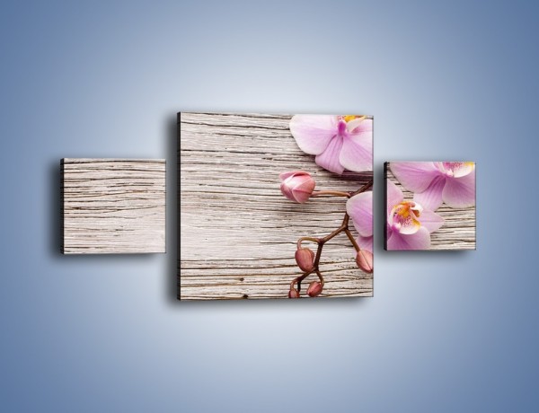 Obraz na płótnie – Kwiaty na drewnianej belce – trzyczęściowy K825W4