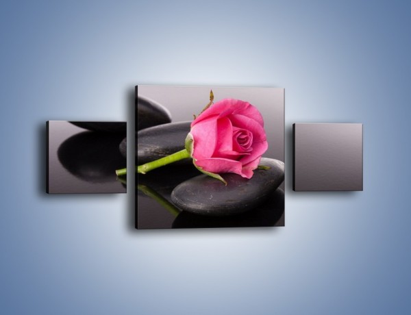 Obraz na płótnie – Ścięta róża na czarnej tafli – trzyczęściowy K832W4