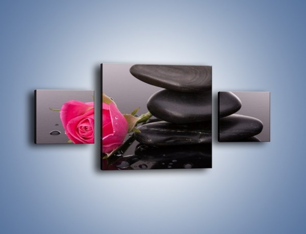 Obraz na płótnie – Róża schowana za kamieniem – trzyczęściowy K833W4