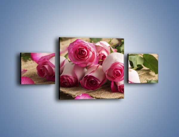 Obraz na płótnie – Zapomniane chwile wśród róż – trzyczęściowy K838W4