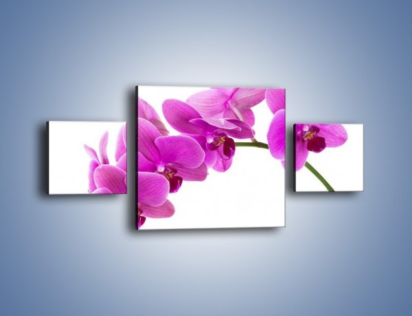 Obraz na płótnie – Kwiaty w lewą stronę – trzyczęściowy K853W4