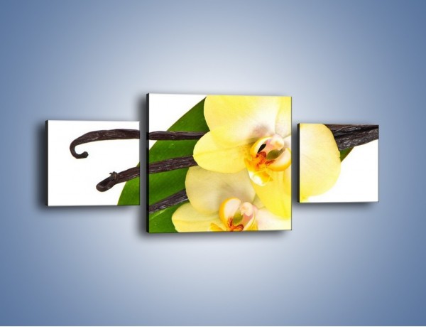 Obraz na płótnie – Waniliowa kwiatowa kompozycja – trzyczęściowy K857W4