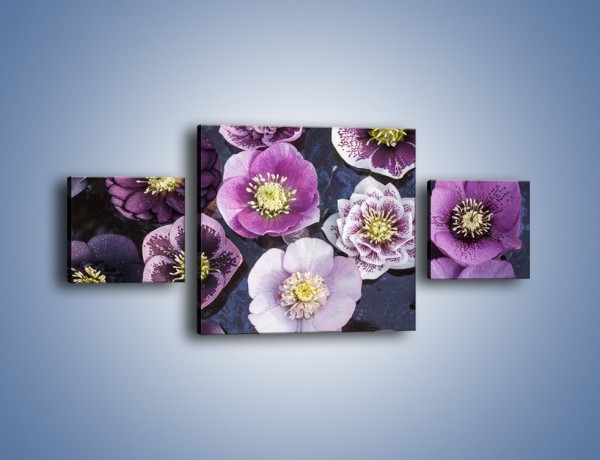 Obraz na płótnie – Wszystkie odcienie fioletu w kwiatach – trzyczęściowy K876W4