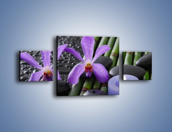 Obraz na płótnie – Mokre fiolety i kwiaty – trzyczęściowy K880W4