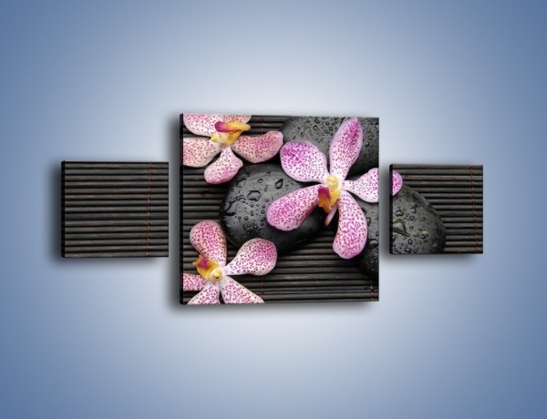 Obraz na płótnie – Rozwinięte ścięte główki kwiatów – trzyczęściowy K889W4
