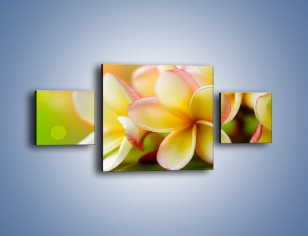Obraz na płótnie – Kwiaty jak marcepanowe wypieki – trzyczęściowy K898W4