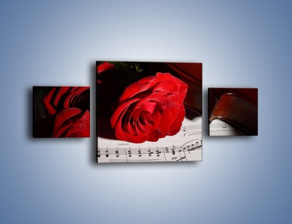Obraz na płótnie – Sonety pisane miłością do róż – trzyczęściowy K906W4