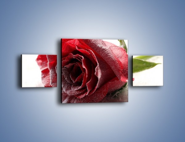 Obraz na płótnie – Zimne podłoże i czerwona róża – trzyczęściowy K933W4
