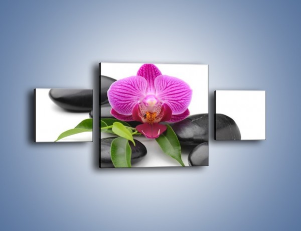 Obraz na płótnie – Kwiat i jego liście – trzyczęściowy K941W4