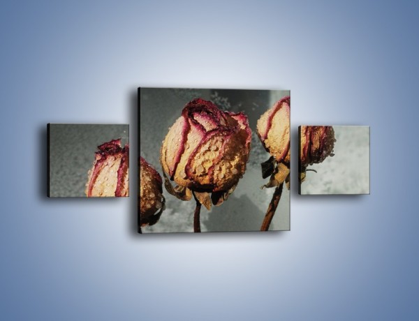 Obraz na płótnie – Ususzone zmoczone róże – trzyczęściowy K944W4