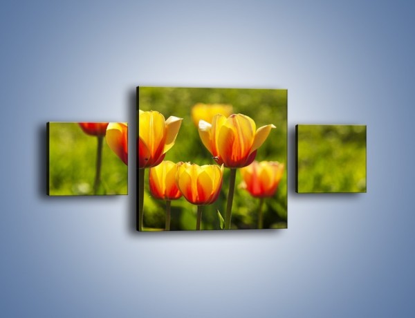 Obraz na płótnie – Pomarańczowe kwiaty i zieleń – trzyczęściowy K952W4