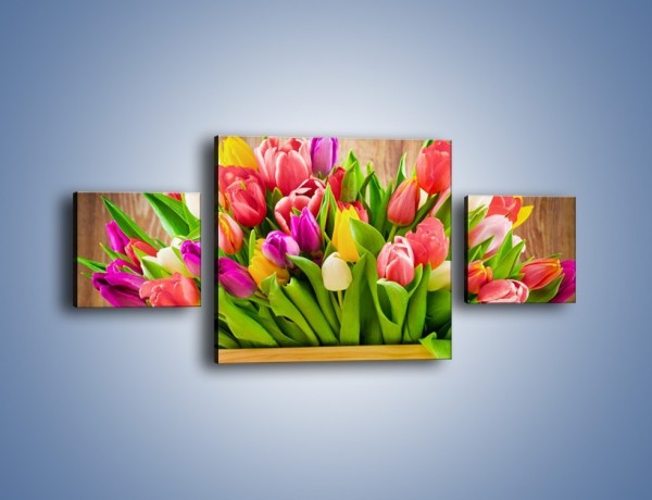Obraz na płótnie – Skrzynia w tulipanach – trzyczęściowy K955W4