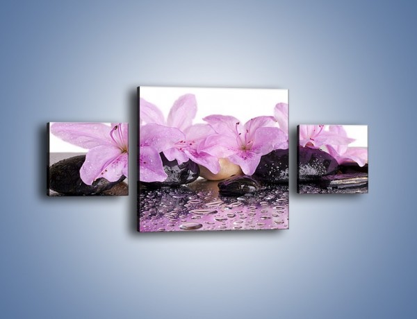 Obraz na płótnie – Lila kwiaty w mokrym klimacie – trzyczęściowy K957W4