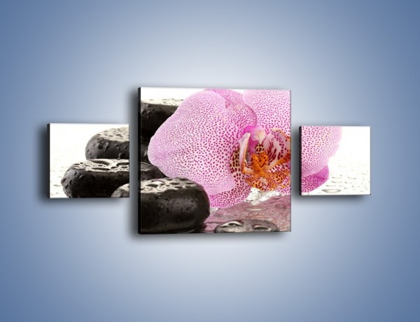 Obraz na płótnie – Kwiat otoczony kamieniami – trzyczęściowy K967W4