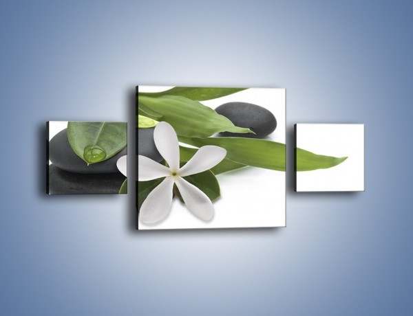 Obraz na płótnie – Artystyczna kompozycja z kwiatem – trzyczęściowy K968W4