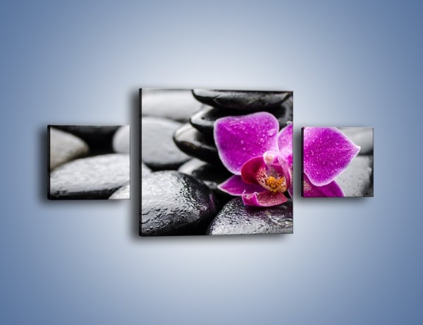 Obraz na płótnie – Malutki kwiatek i morze kamieni – trzyczęściowy K983W4