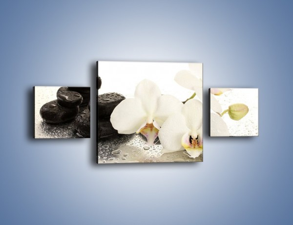 Obraz na płótnie – Mokre kwiaty i kamienie – trzyczęściowy K986W4
