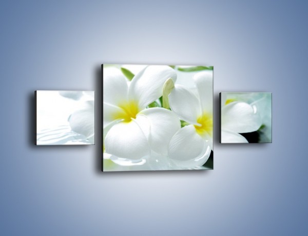 Obraz na płótnie – Białe kwiaty w potoku – trzyczęściowy K991W4