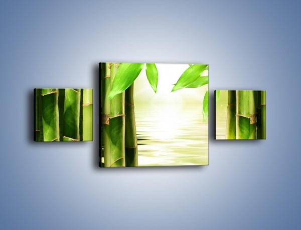 Obraz na płótnie – Bambusowe liście i łodygi – trzyczęściowy KN027W4