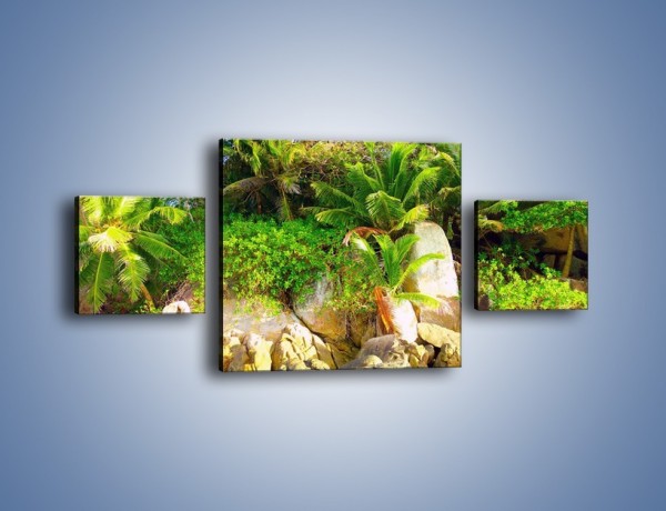 Obraz na płótnie – Ściana tropikalnych drzew – trzyczęściowy KN086W4