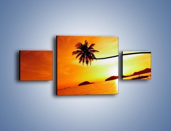 Obraz na płótnie – Palma o zachodzie słońca – trzyczęściowy KN1077W4