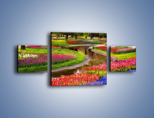 Obraz na płótnie – Aleje kolorowych tulipanów – trzyczęściowy KN1079W4