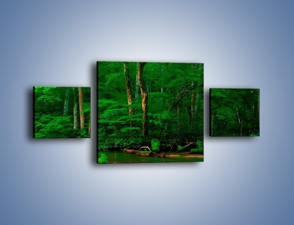 Obraz na płótnie – Mocno zarośnięty las – trzyczęściowy KN1089AW4