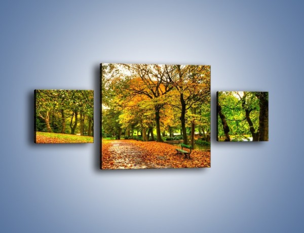 Obraz na płótnie – Piękna jesień w parku – trzyczęściowy KN1098AW4