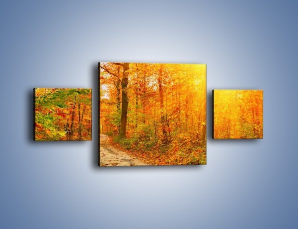 Obraz na płótnie – Leśną drużką jesienią – trzyczęściowy KN1163AW4