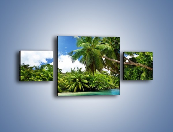 Obraz na płótnie – Rozłożone palmy i woda – trzyczęściowy KN1168AW4