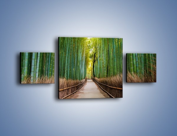 Obraz na płótnie – Bambusowy las – trzyczęściowy KN1187AW4