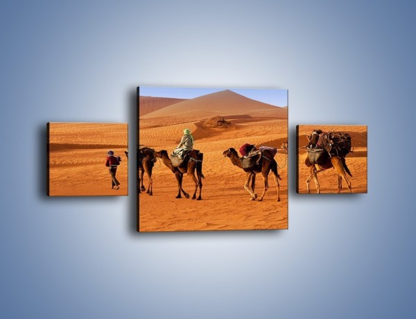 Obraz na płótnie – Idą wielbłądy przez pustynię – trzyczęściowy KN1237AW4