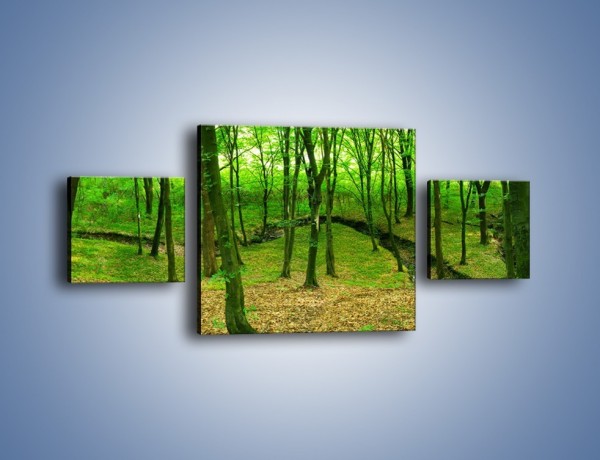 Obraz na płótnie – Wąskie spojrzenie na las – trzyczęściowy KN1264AW4