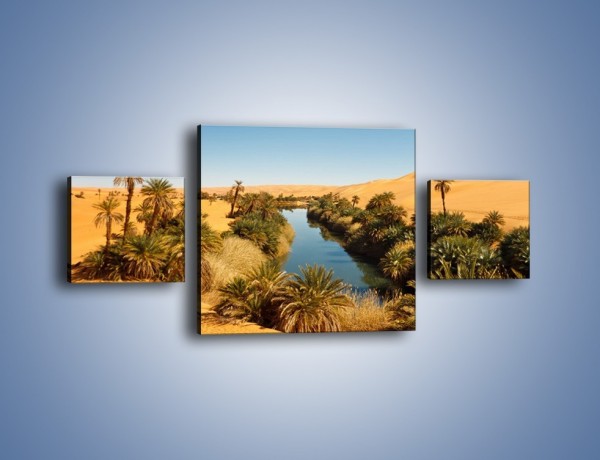 Obraz na płótnie – Woda woda na pustyni – trzyczęściowy KN1294AW4