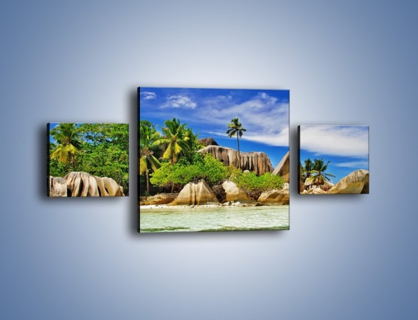 Obraz na płótnie – Tropiki i ich wysokości – trzyczęściowy KN1306AW4