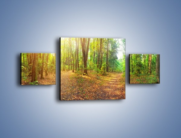 Obraz na płótnie – Przejrzysty piękny las – trzyczęściowy KN1344AW4