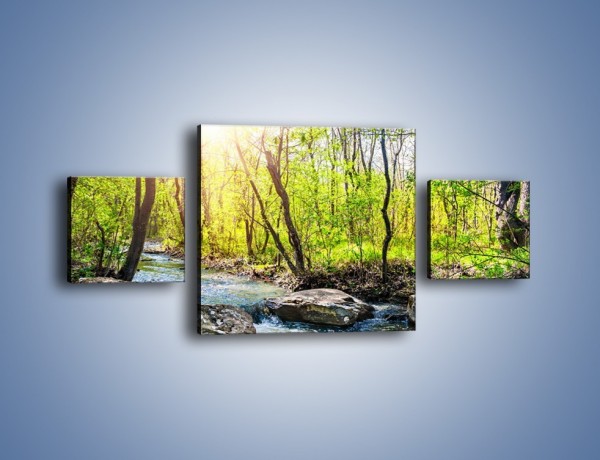 Obraz na płótnie – Opuszczony las wiosną – trzyczęściowy KN1350AW4