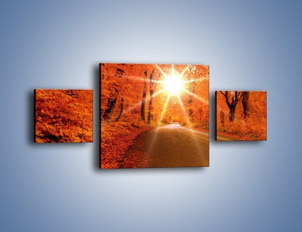 Obraz na płótnie – Droga pełna słońca – trzyczęściowy KN160W4