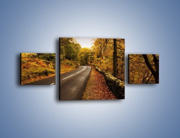 Obraz na płótnie – Asfaltową droga przez las – trzyczęściowy KN169W4