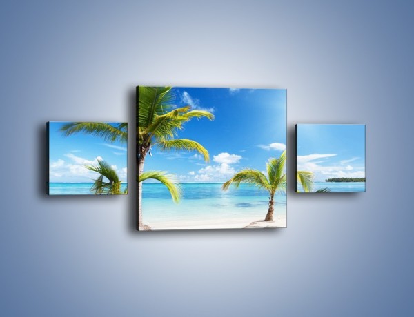Obraz na płótnie – Palmy na pustej plaży – trzyczęściowy KN245W4