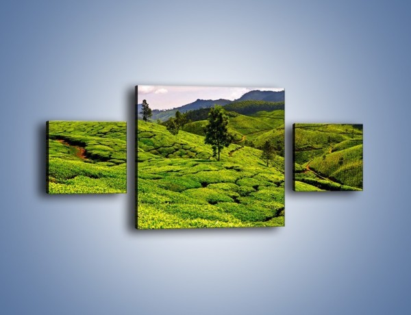 Obraz na płótnie – Góry całe w zieleni – trzyczęściowy KN246W4
