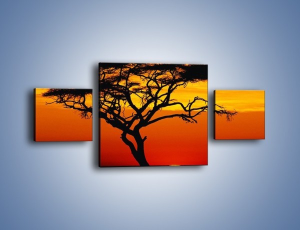 Obraz na płótnie – Zachód słońca i drzewo – trzyczęściowy KN307W4